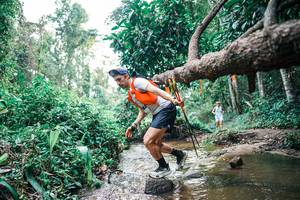 BIB: 
                            <button type="button" onclick="openModal(25368471)" class="btn btn-primary btn-sm float-right btn-popup" data-toggle="modal" data-target=".modal-high-quality">
                        <i class="fas fa-shopping-cart"></i> Add to Cart
                    </button>
                                            <button type="button" onclick="isThisMe(25368471, true)" class="btn btn-success btn-sm float-right btn-popup btn-isme hidden" data-toggle="tooltip" data-placement="bottom" title="นี่คือรูปของคุณใช่ไหม คลิกที่นี่เพื่อเอาเข้าอัลบั้ม">
                        <i class="fas fa-plus"></i> Add to album
                    </button>
                    <button type="button" onclick="isThisMe(25368471, false)" class="btn btn-warning btn-sm float-right btn-popup btn-isnotme hidden">
                        <i class="fas fa-ban"></i> Remove from album
                    </button>